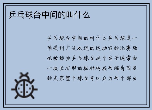 乒乓球台中间的叫什么