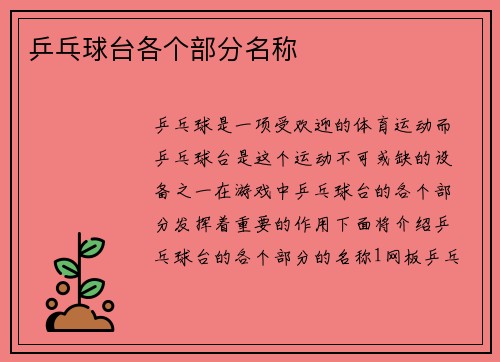 乒乓球台各个部分名称