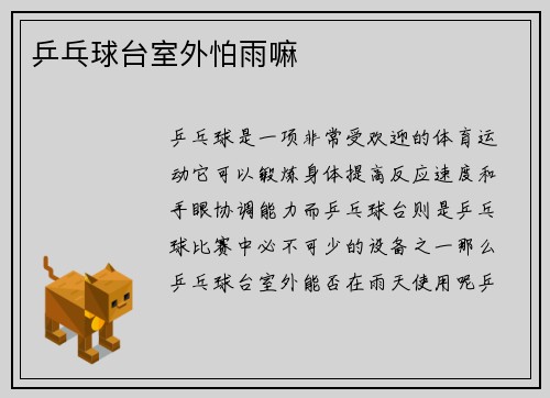 乒乓球台室外怕雨嘛