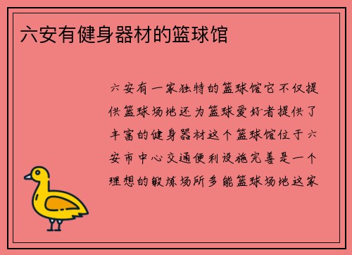 六安有健身器材的篮球馆